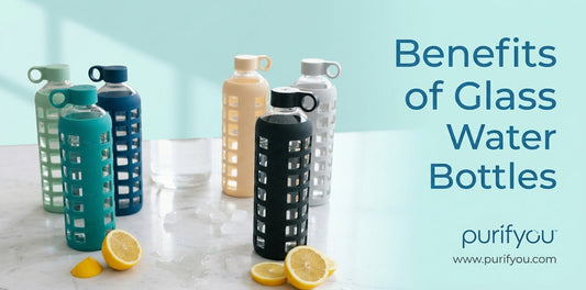 Glass Water Bottle