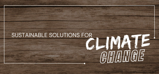 Climate Change Mitigation: